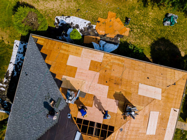 Best Roof Replacement Cost  in Union, MS